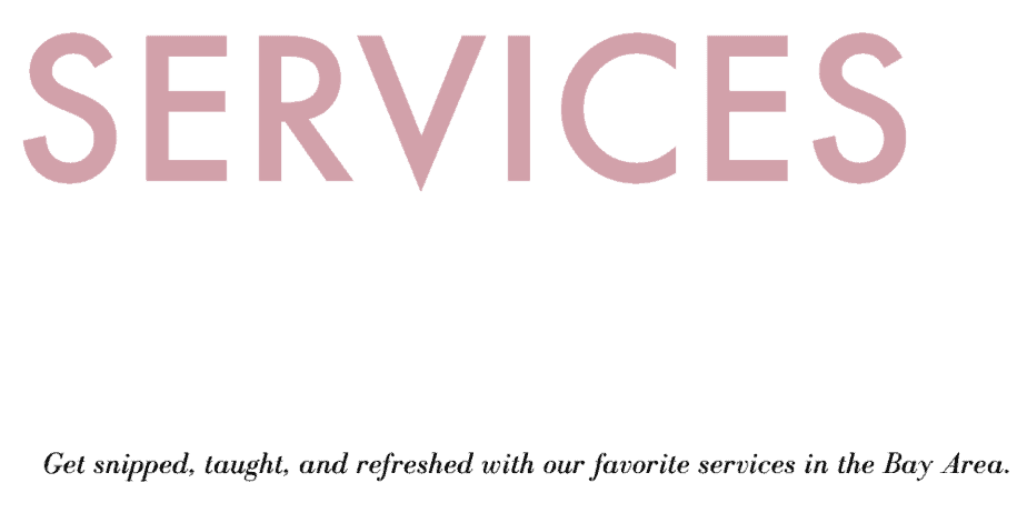 services-intro
