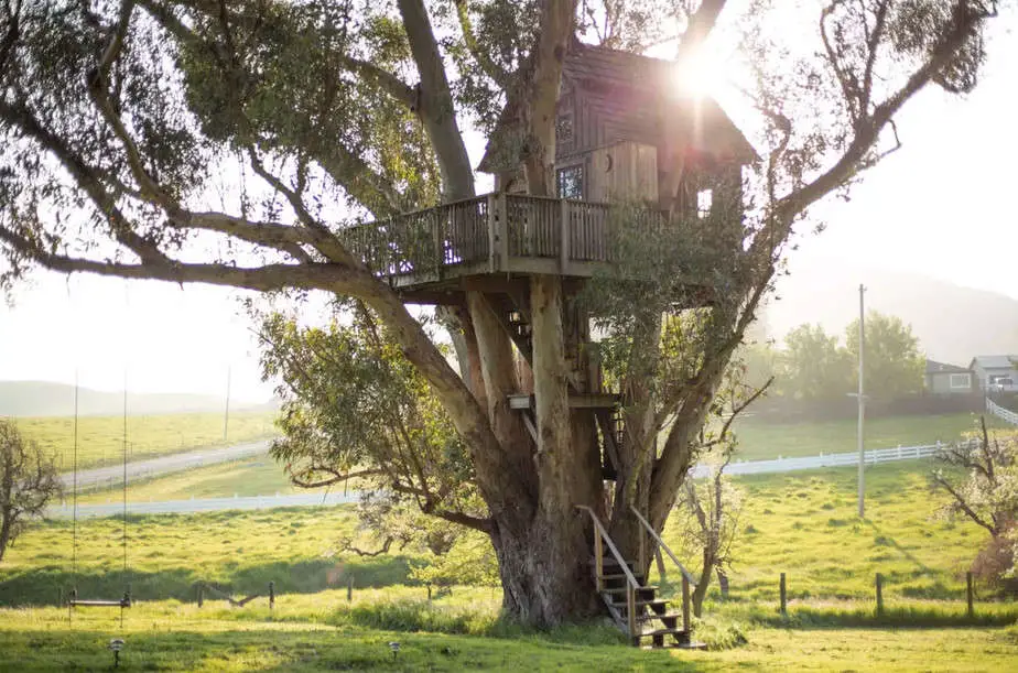 more-treehouse-yurt