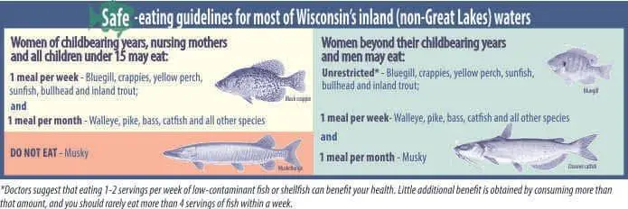 Eating your catch - making healthy choices | Wisconsin DNR