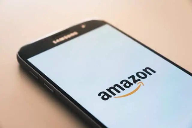 Is Amazon too Big? 