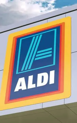 Does Aldi Have Bags?