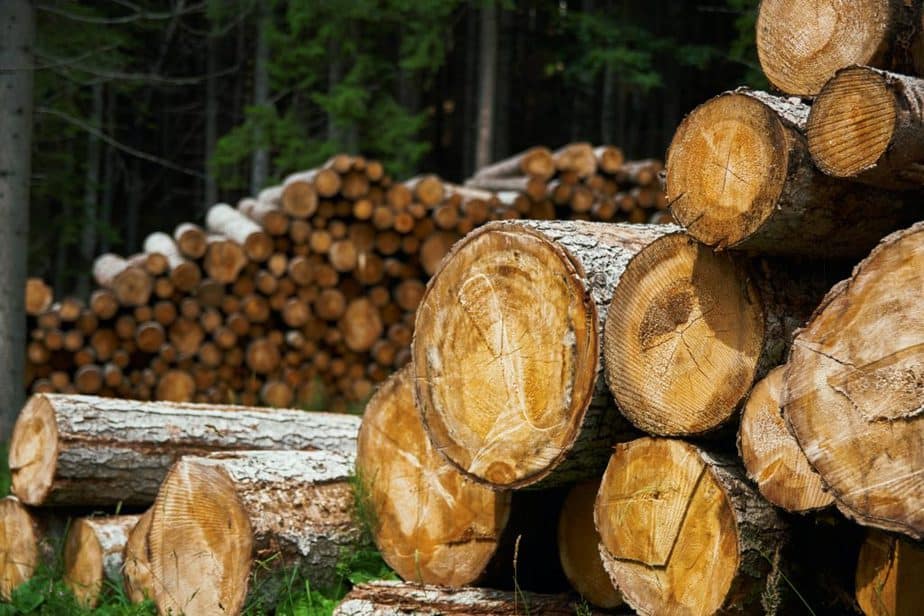 Why Is Lumber So Expensive?