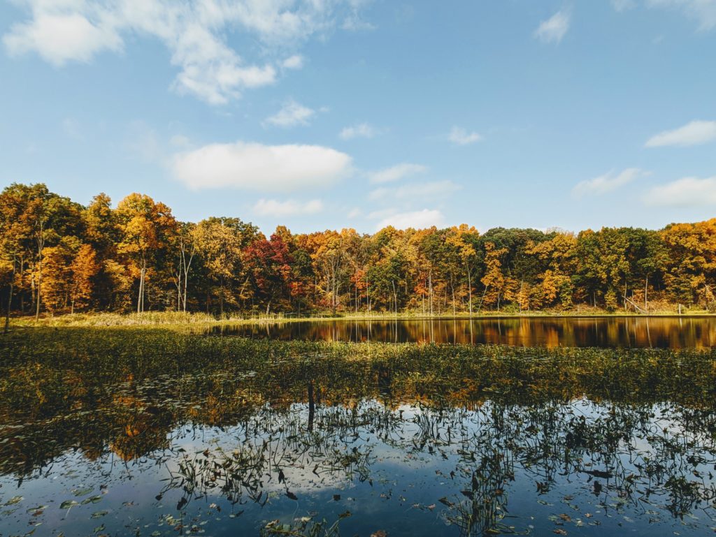 Indiana Hunting License - Know More