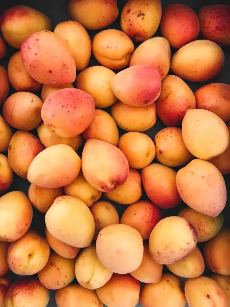 How Much Do Mangoes Cost?