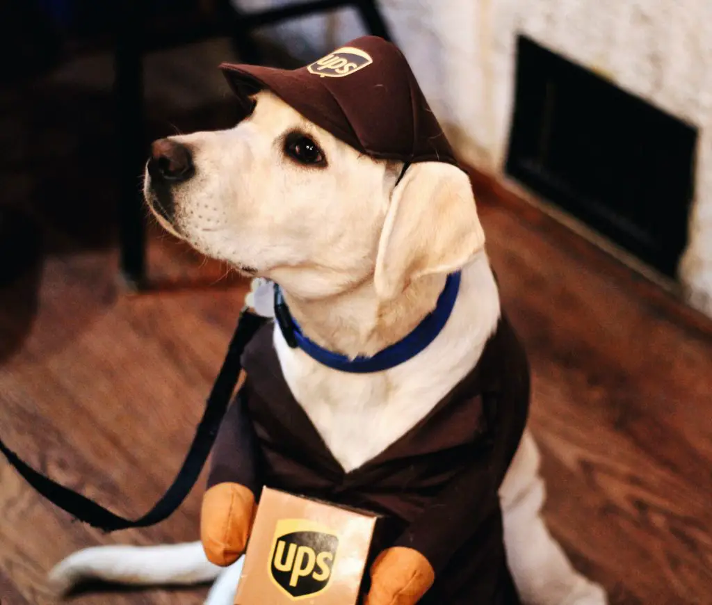 Shipping Service By UPS