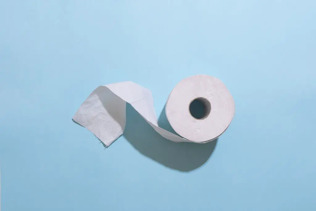 Where To Buy Toilet Paper?