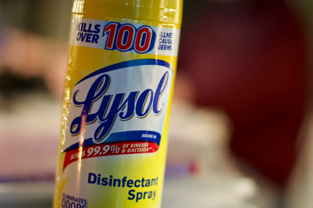 Does Lysol Kill Bed Bugs