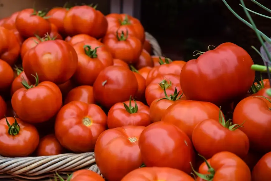 How Much Do Tomatoes Cost?