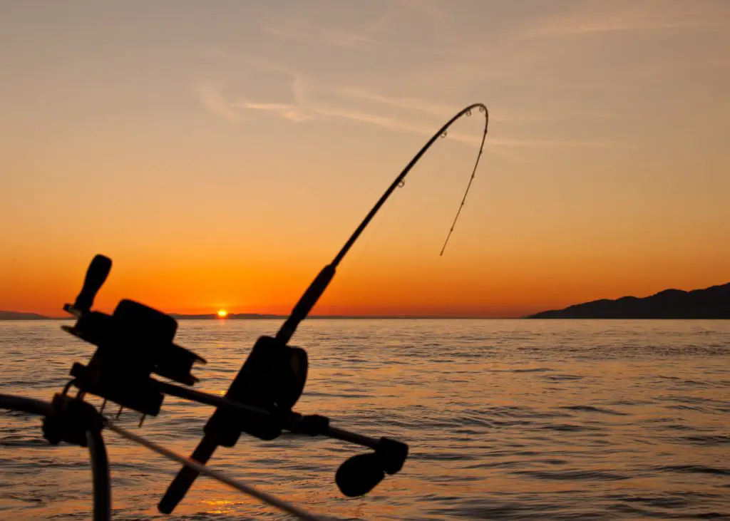 What Is Idaho Fishing License?