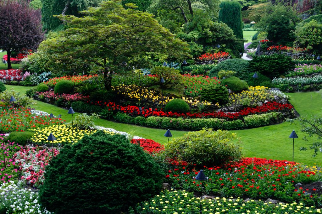 Rocks: Used For Landscaping