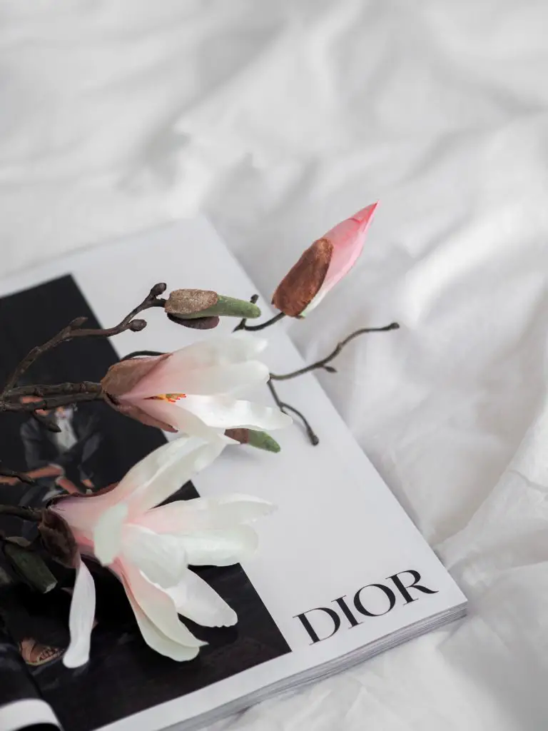 What Is The Dior Loyalty Program?