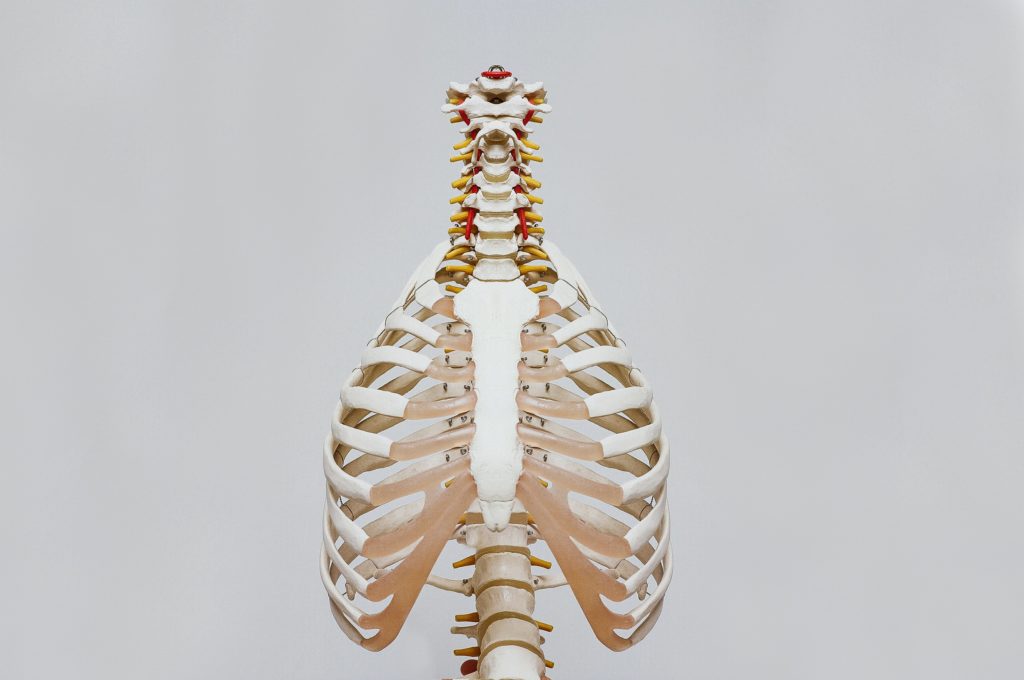 Chiropractic Care Cost