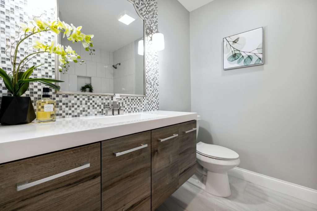 Plants for the Bathroom That Absorb Moisture