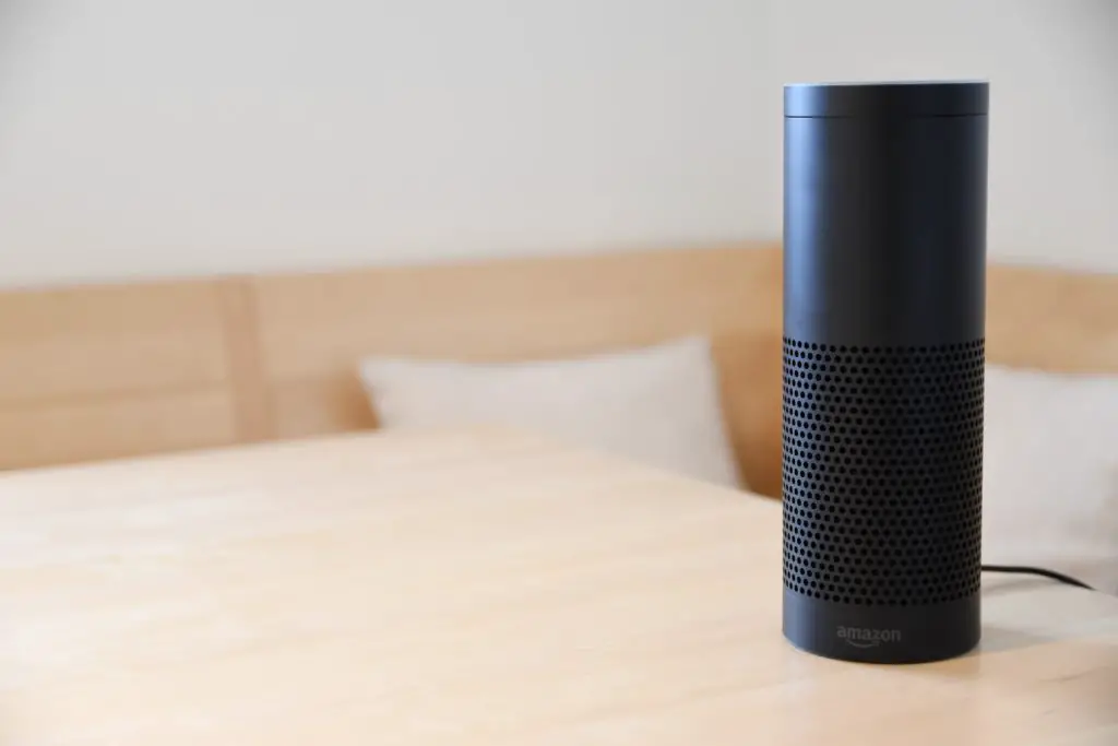 Play Music On All Alexa Devices