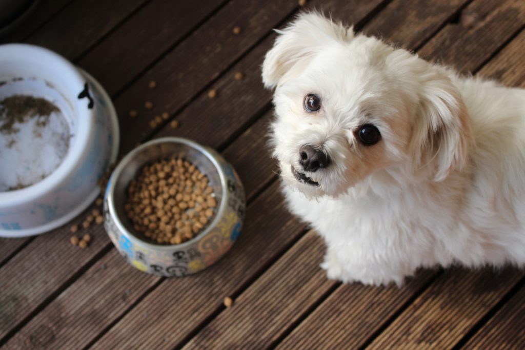 Petco Dog Food-Know More