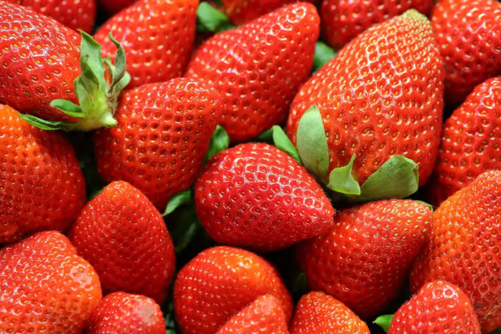 How To Keep Strawberries Fresh?