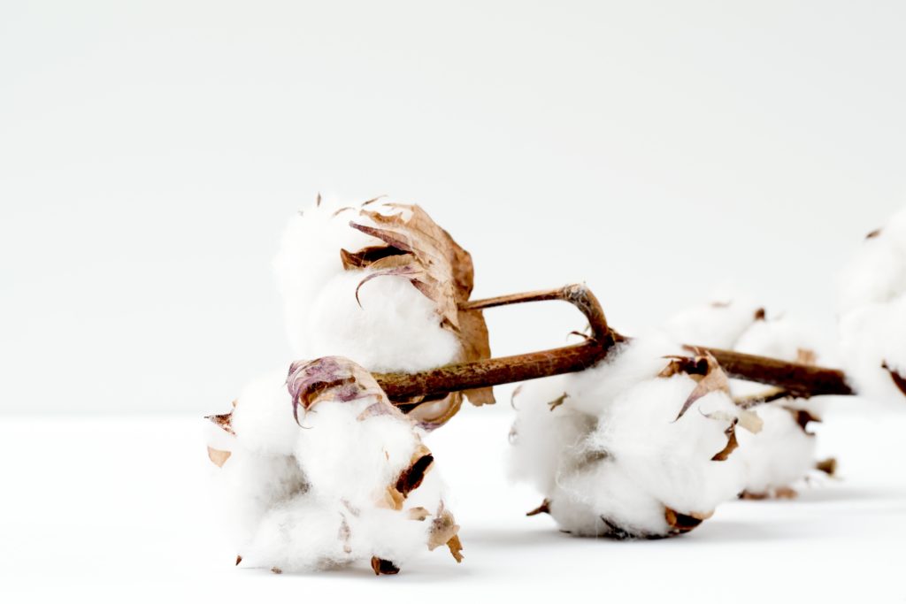 What You Need To Know About Returning An Item At Cotton On?
