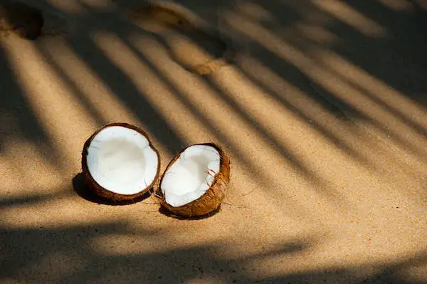 Aldi Coconut Items