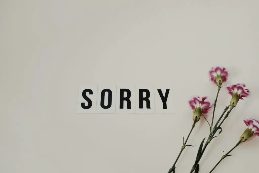 How To Write An Apology Letter? 