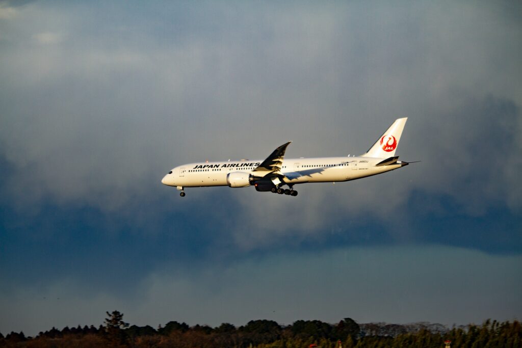 What You Should Know About Japan Airlines?