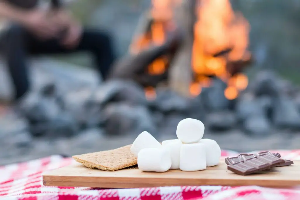 Roasting marshmallow peeps over campfire