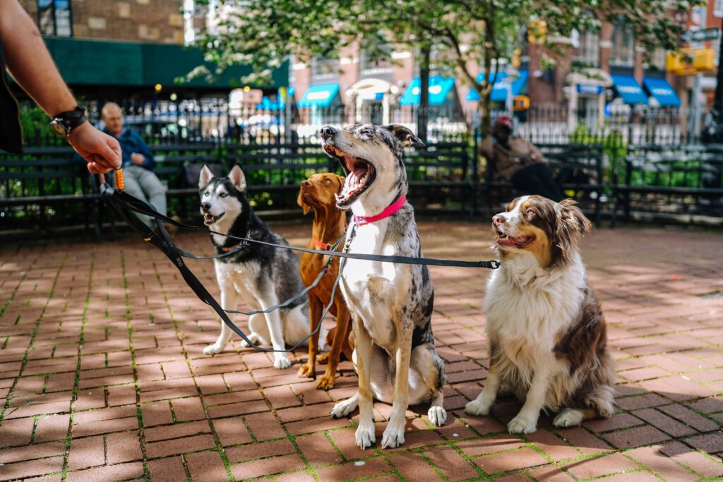 Modern Money Etiquette How Much Pay Friend Pet Sitting More Household Favors When You Are Away