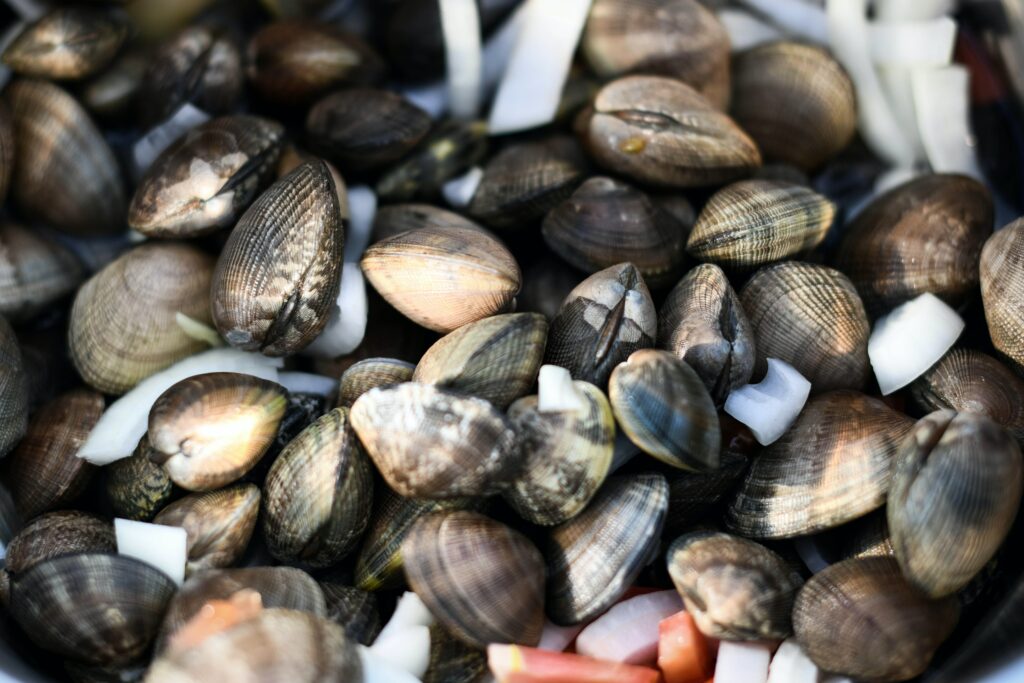 How Much Do Clams Cost?