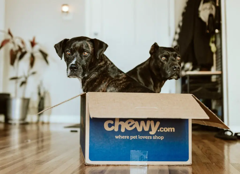 Does Chewy Accept Affirm?