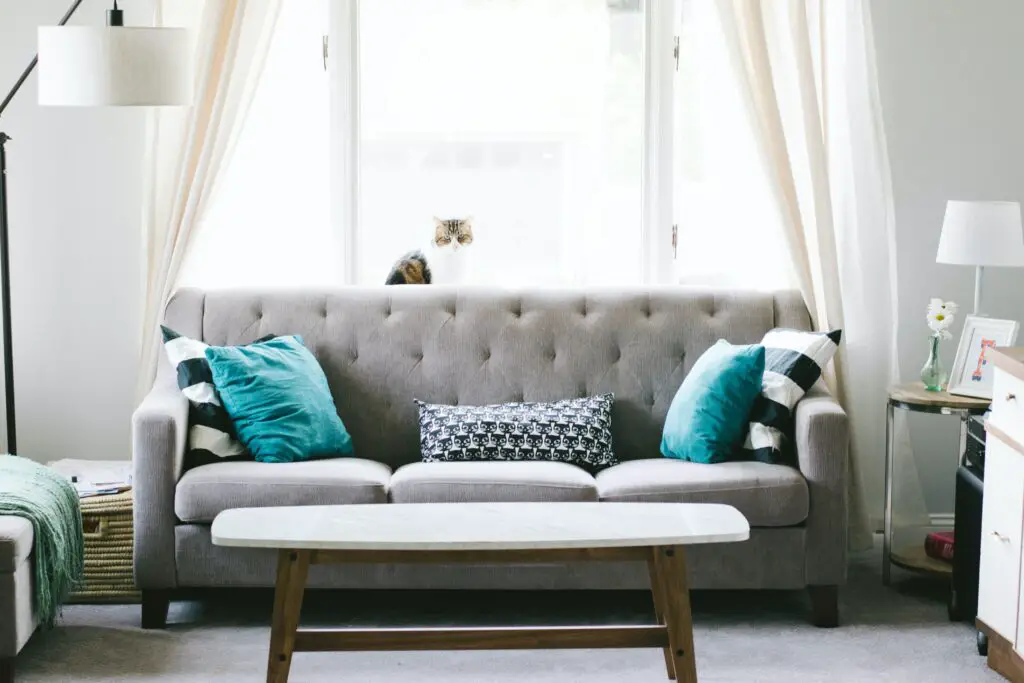 Why Do You Need To Buy Furniture With Wayfair Warranty?