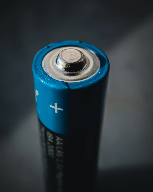 Costco Change Watch Batteries