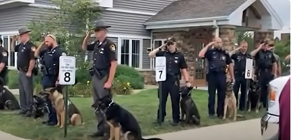 Honoring K9 Tommy: A Law Enforcement Hero Remembered